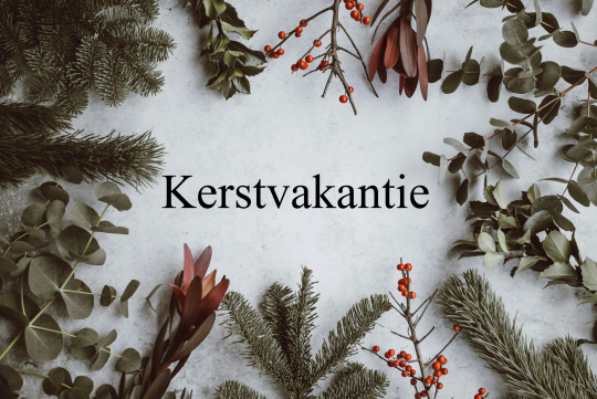 989-Kerstfoto-kerstvakantie-1730128366.jpg